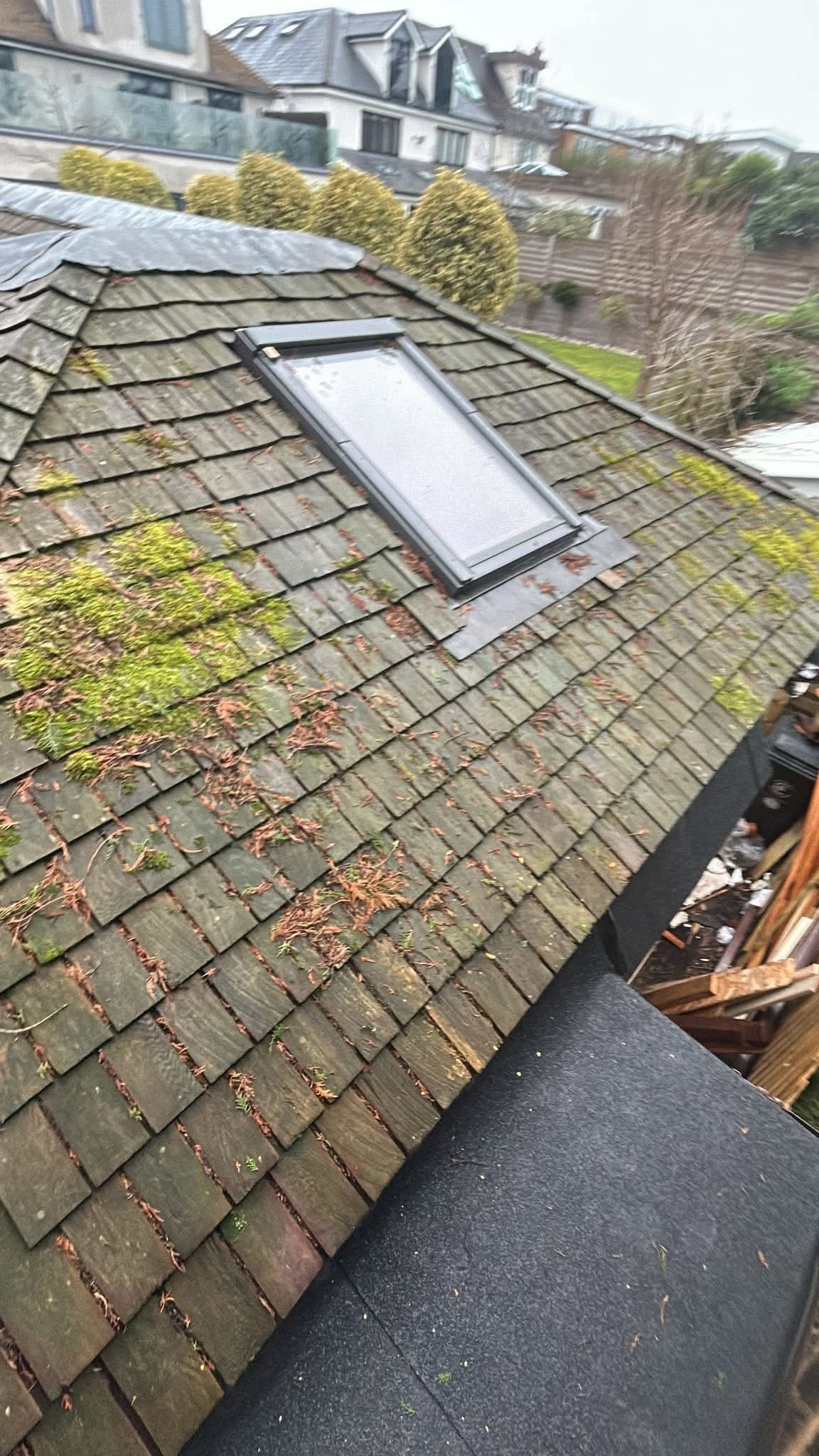 Older roof with moss and rooflight